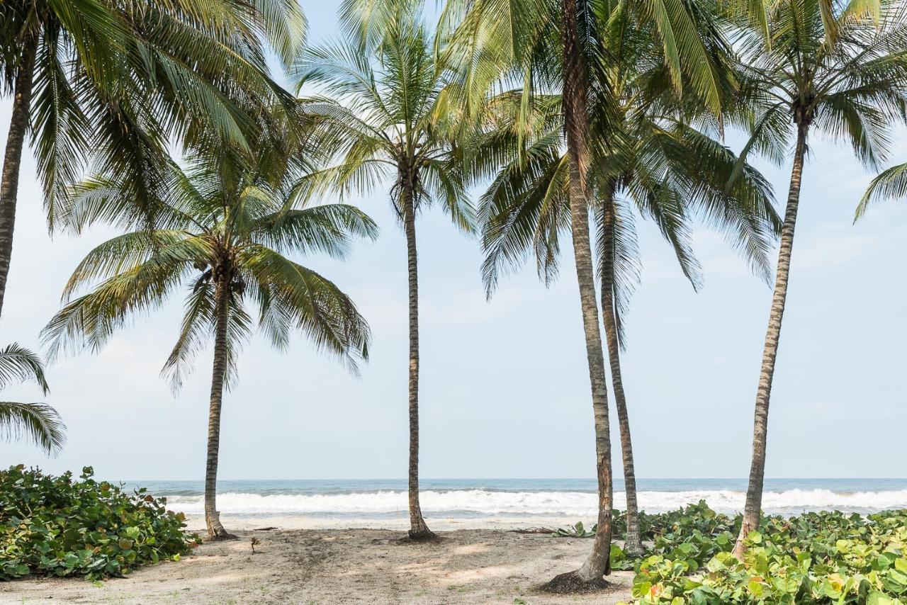 Tayrona Tented Lodge Guachaca المظهر الخارجي الصورة