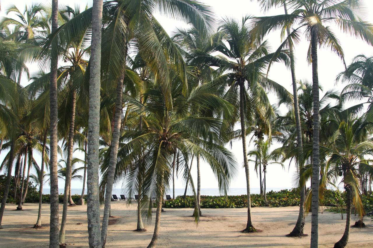 Tayrona Tented Lodge Guachaca المظهر الخارجي الصورة