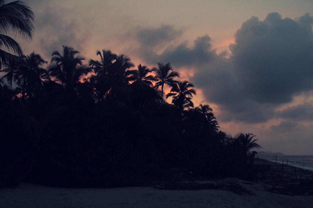 Tayrona Tented Lodge Guachaca المظهر الخارجي الصورة