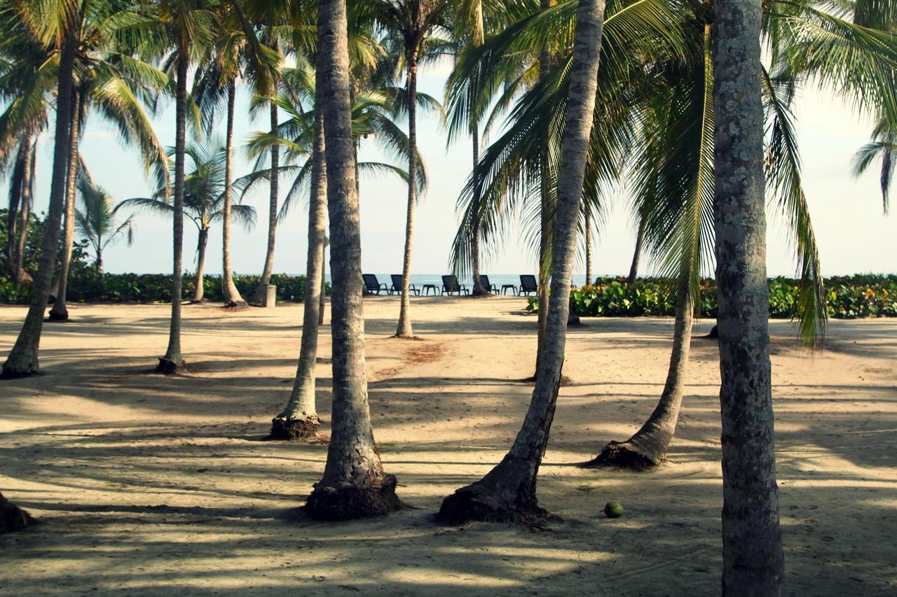 Tayrona Tented Lodge Guachaca المظهر الخارجي الصورة
